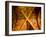 it's an X-Doug Chinnery-Framed Photographic Print