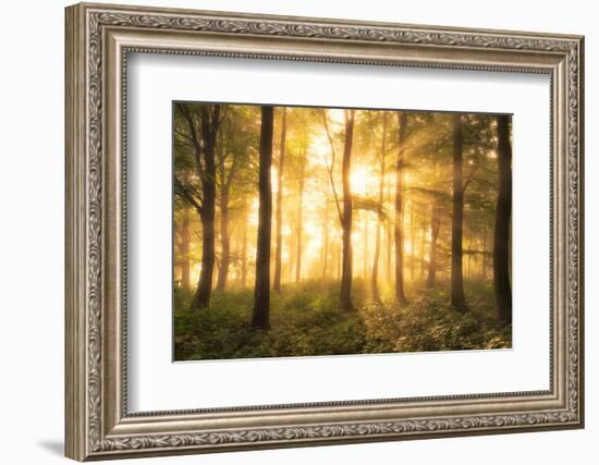 It's nice to love.......-Leif Løndal-Framed Photographic Print