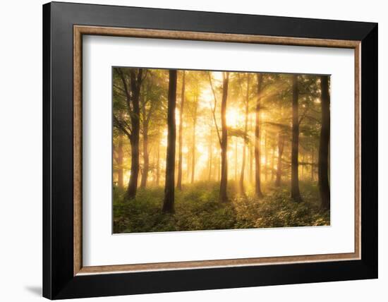 It's nice to love.......-Leif Løndal-Framed Photographic Print