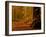 It's Raining Leaves-Doug Chinnery-Framed Photographic Print