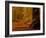 It's Raining Leaves-Doug Chinnery-Framed Photographic Print