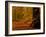 It's Raining Leaves-Doug Chinnery-Framed Photographic Print