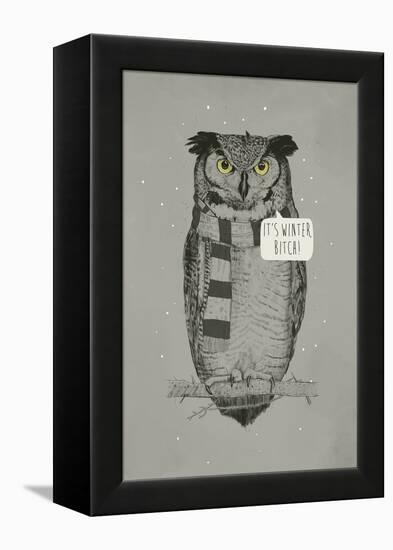 It's Winter, Bitch!-Balazs Solti-Framed Premier Image Canvas