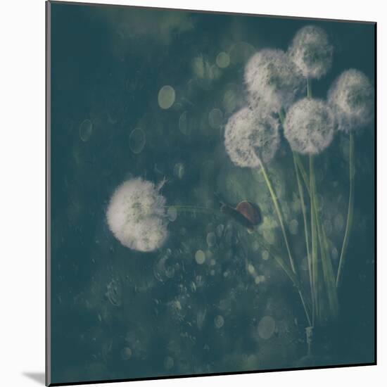 It was a rainy day...-Delphine Devos-Mounted Photographic Print