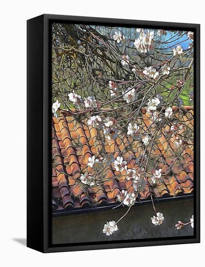Italian Almond Blossom-Dorothy Berry-Lound-Framed Premier Image Canvas