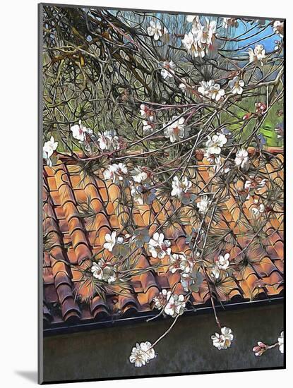 Italian Almond Blossom-Dorothy Berry-Lound-Mounted Giclee Print