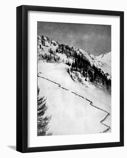 Italian Alpini Climbing Monte Adamello-null-Framed Photographic Print