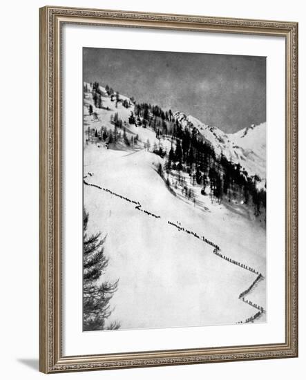 Italian Alpini Climbing Monte Adamello-null-Framed Photographic Print