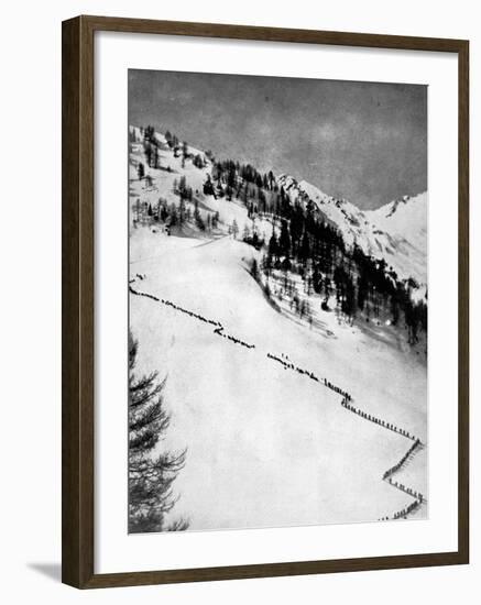 Italian Alpini Climbing Monte Adamello-null-Framed Photographic Print