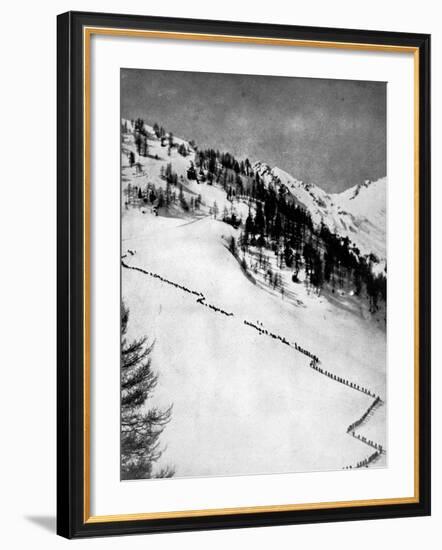 Italian Alpini Climbing Monte Adamello-null-Framed Photographic Print