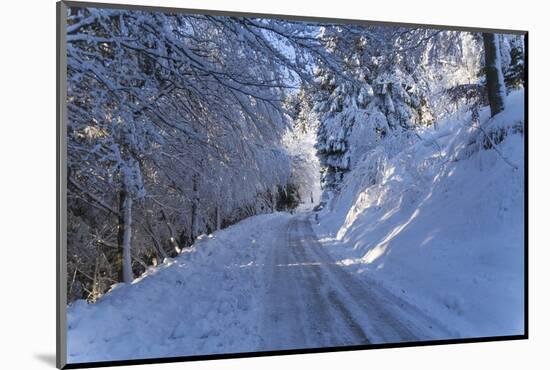 Italian Alps in Winter, Aosta Valley, Italy, Europe-Angelo-Mounted Photographic Print