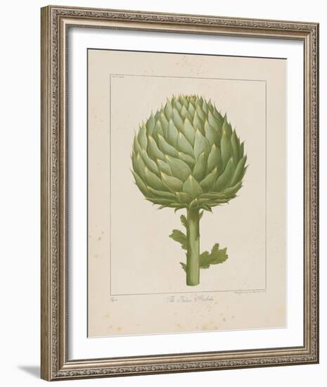 Italian Artichoke-Basilius Besler-Framed Giclee Print