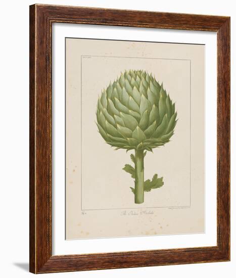 Italian Artichoke-Basilius Besler-Framed Giclee Print