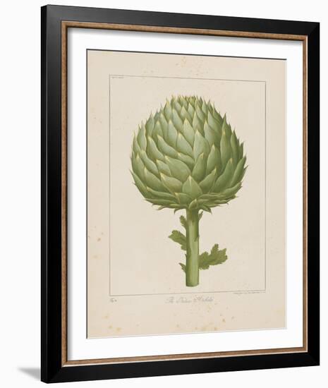 Italian Artichoke-Basilius Besler-Framed Giclee Print