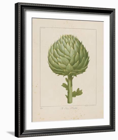 Italian Artichoke-Basilius Besler-Framed Giclee Print