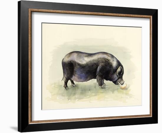Italian Black Pig-Alison Cooper-Framed Giclee Print