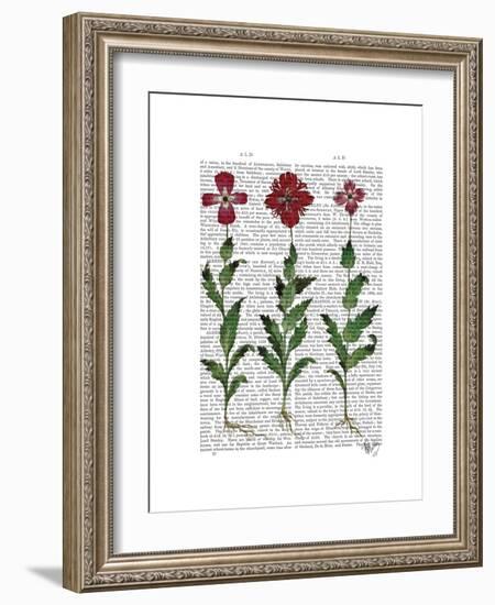 Italian Carnation 1-Fab Funky-Framed Premium Giclee Print