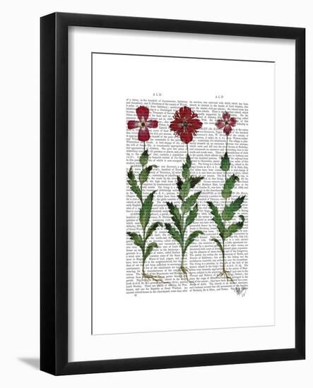 Italian Carnation 1-Fab Funky-Framed Premium Giclee Print