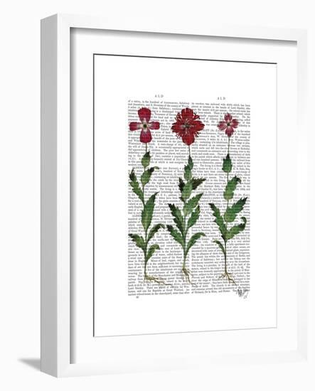 Italian Carnation 1-Fab Funky-Framed Premium Giclee Print