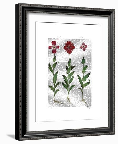 Italian Carnation 1-Fab Funky-Framed Premium Giclee Print