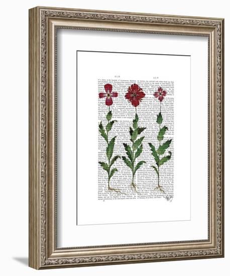 Italian Carnation 1-Fab Funky-Framed Art Print