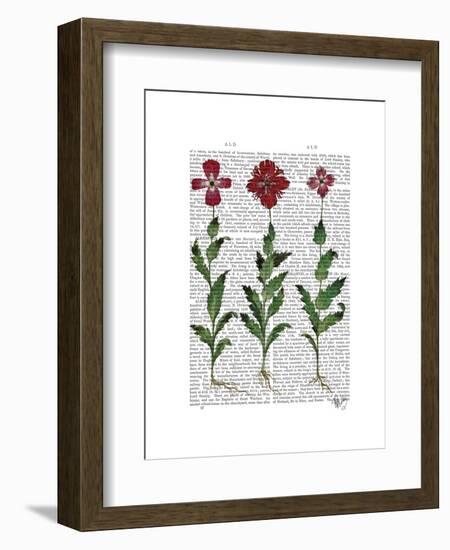 Italian Carnation 1-Fab Funky-Framed Art Print