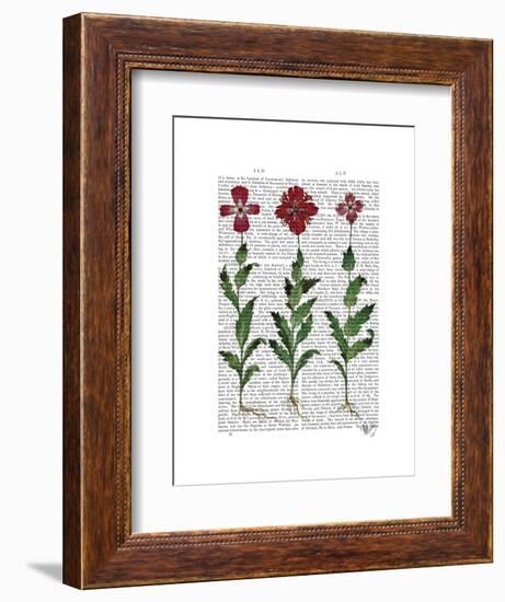 Italian Carnation 1-Fab Funky-Framed Art Print