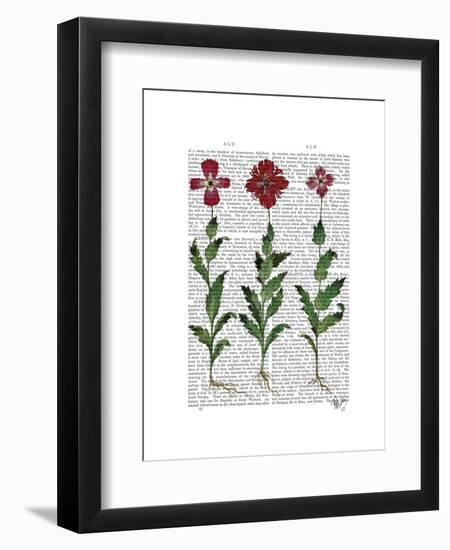 Italian Carnation 1-Fab Funky-Framed Art Print