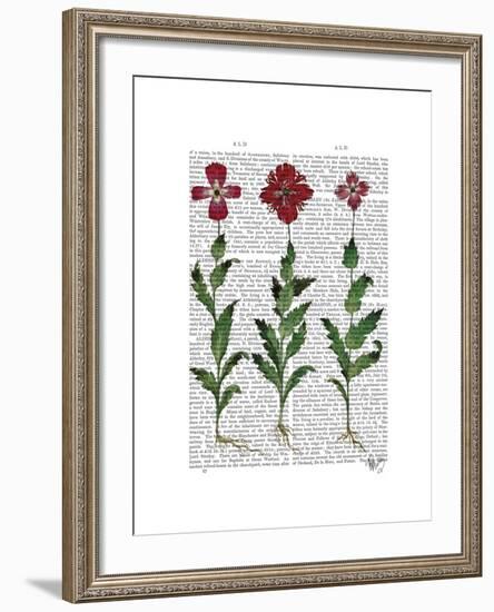 Italian Carnation 1-Fab Funky-Framed Art Print