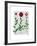 Italian Carnation 2-Fab Funky-Framed Art Print