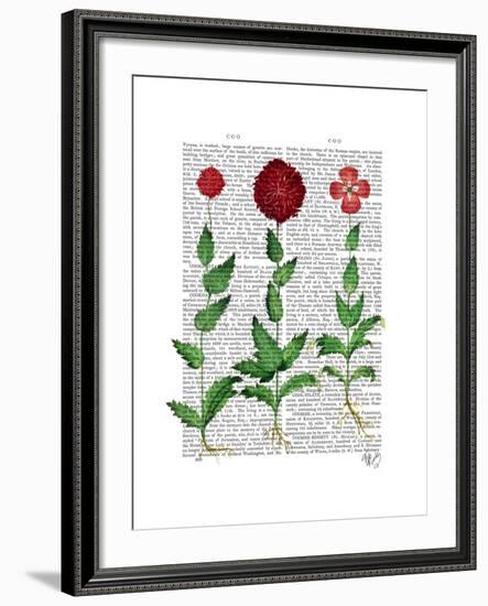 Italian Carnation 2-Fab Funky-Framed Art Print