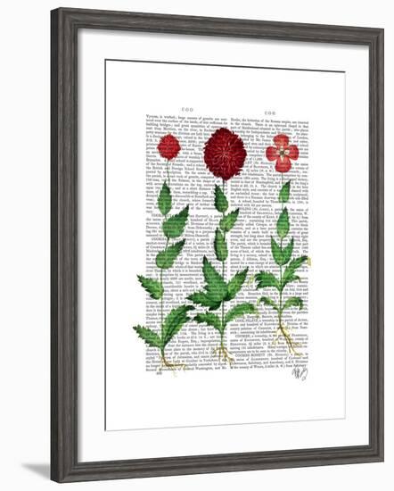 Italian Carnation 2-Fab Funky-Framed Art Print