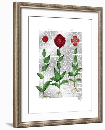 Italian Carnation 2-Fab Funky-Framed Art Print