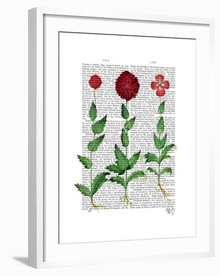 Italian Carnation 2-Fab Funky-Framed Art Print