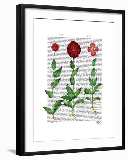 Italian Carnation 2-Fab Funky-Framed Art Print