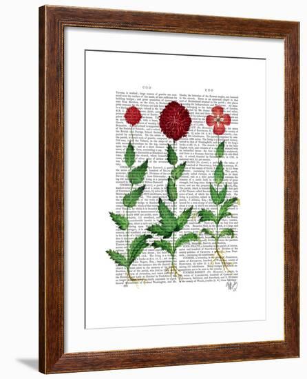 Italian Carnation 2-Fab Funky-Framed Art Print