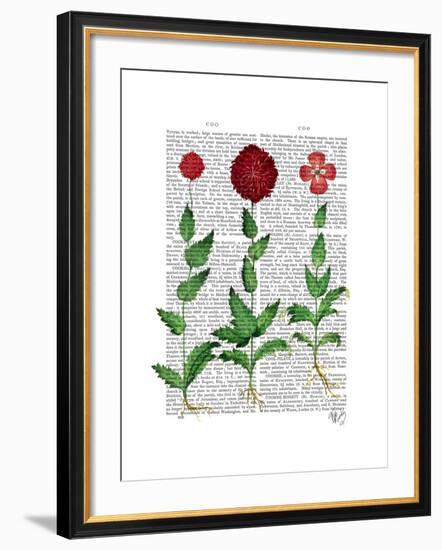 Italian Carnation 2-Fab Funky-Framed Art Print