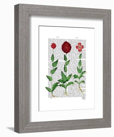 Italian Carnation 2-Fab Funky-Framed Art Print