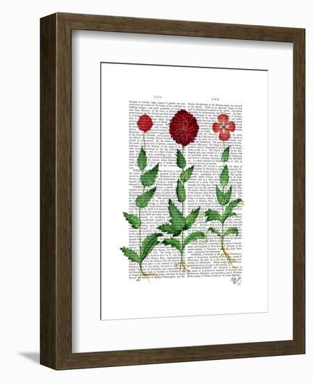 Italian Carnation 2-Fab Funky-Framed Art Print