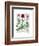 Italian Carnation 2-Fab Funky-Framed Art Print