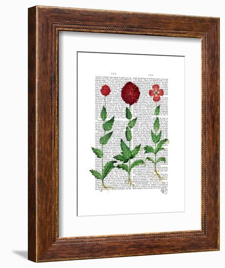 Italian Carnation 2-Fab Funky-Framed Art Print