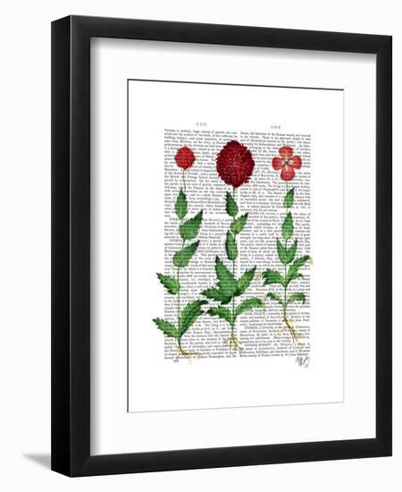 Italian Carnation 2-Fab Funky-Framed Art Print