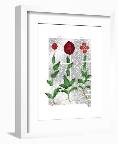 Italian Carnation 2-Fab Funky-Framed Art Print