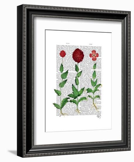 Italian Carnation 2-Fab Funky-Framed Art Print