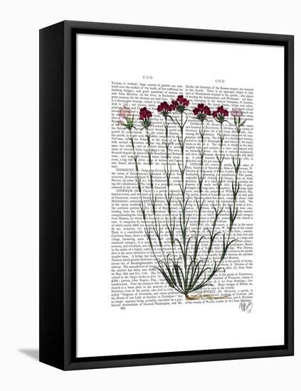 Italian Carnation 4-Fab Funky-Framed Stretched Canvas