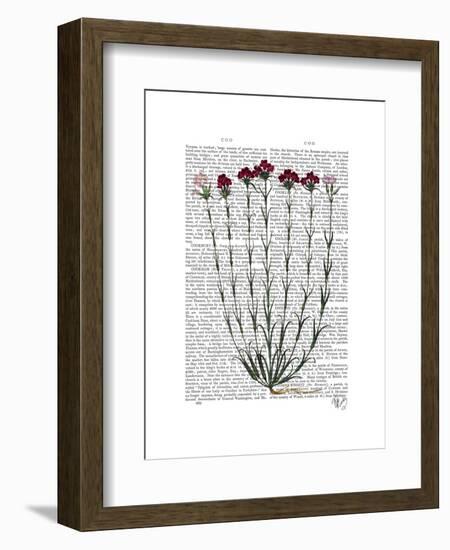 Italian Carnation 4-Fab Funky-Framed Art Print