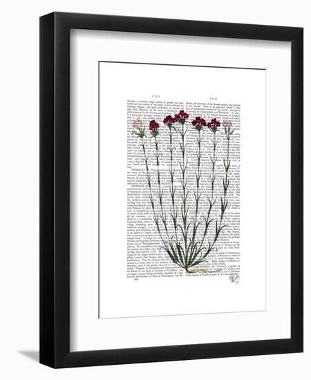 Italian Carnation 4-Fab Funky-Framed Art Print