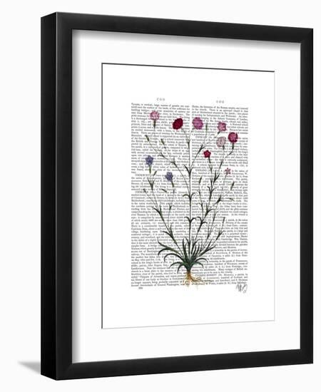 Italian Carnation 5-Fab Funky-Framed Art Print