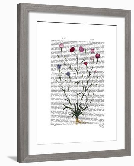 Italian Carnation 5-Fab Funky-Framed Art Print