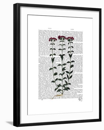 Italian Carnation 6-Fab Funky-Framed Art Print